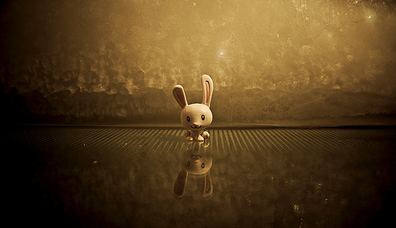 動畫制作 動畫制作